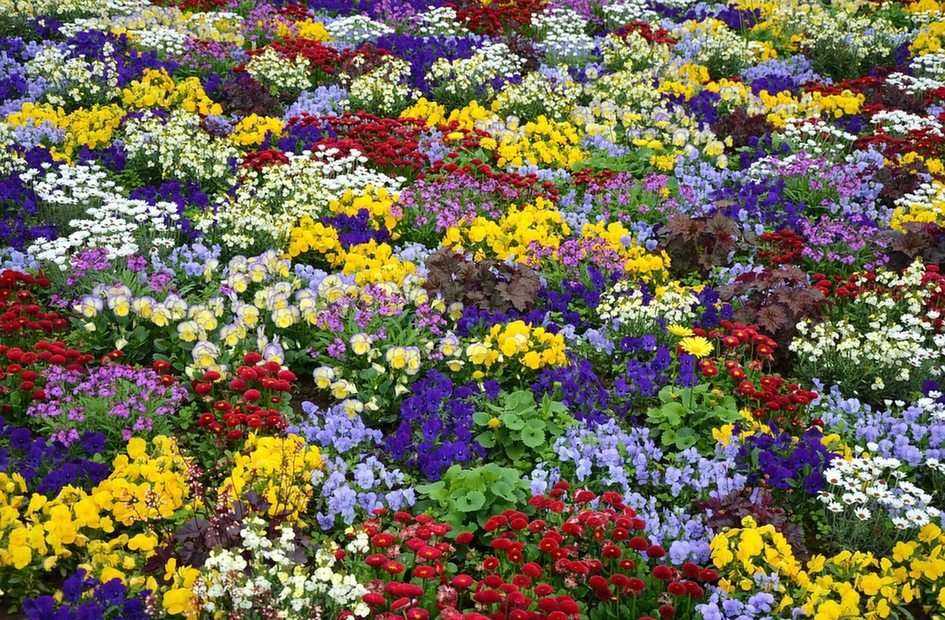 Flowers puzzle online ze zdjęcia
