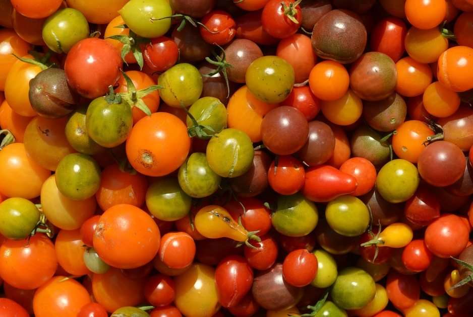 Tomatoes puzzle online ze zdjęcia