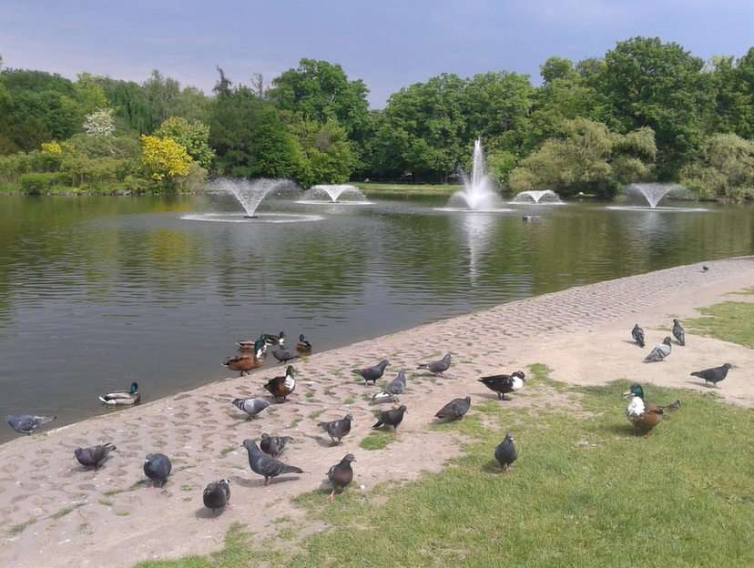 Park Południowy we Wrocławiu puzzle online