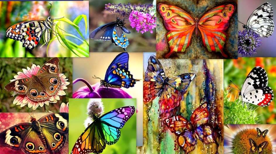 Bajeczne motyle puzzle online