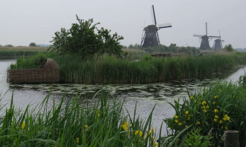 Kinderdijk - Holandia puzzle online ze zdjęcia