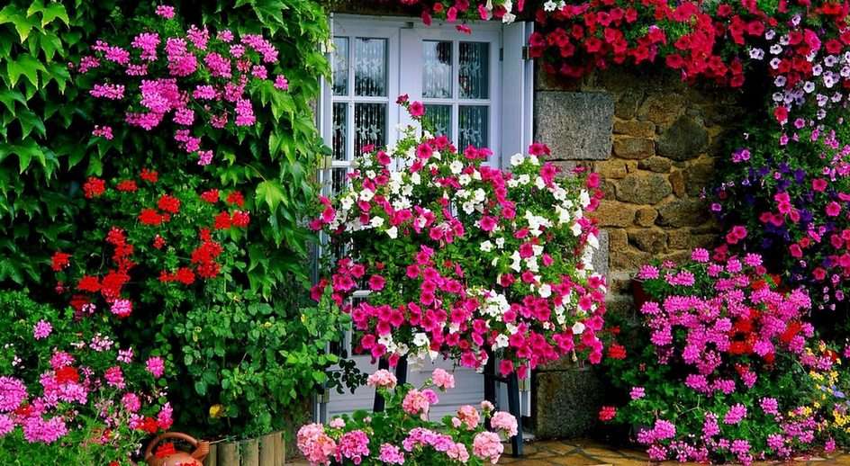 Dom w kwiatach puzzle online ze zdjęcia