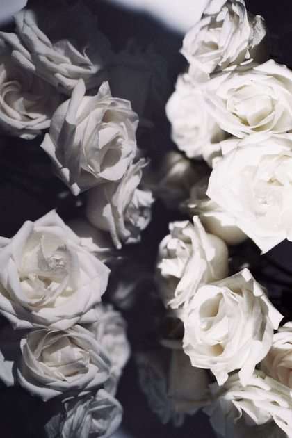 White Roses puzzle online ze zdjęcia