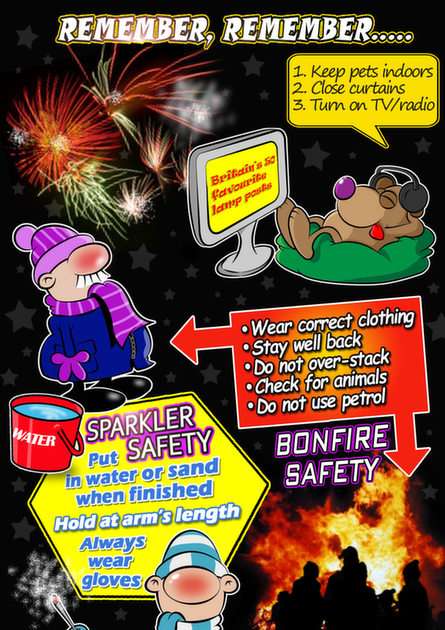 Sparkler and Bonfire Safety puzzle ze zdjęcia