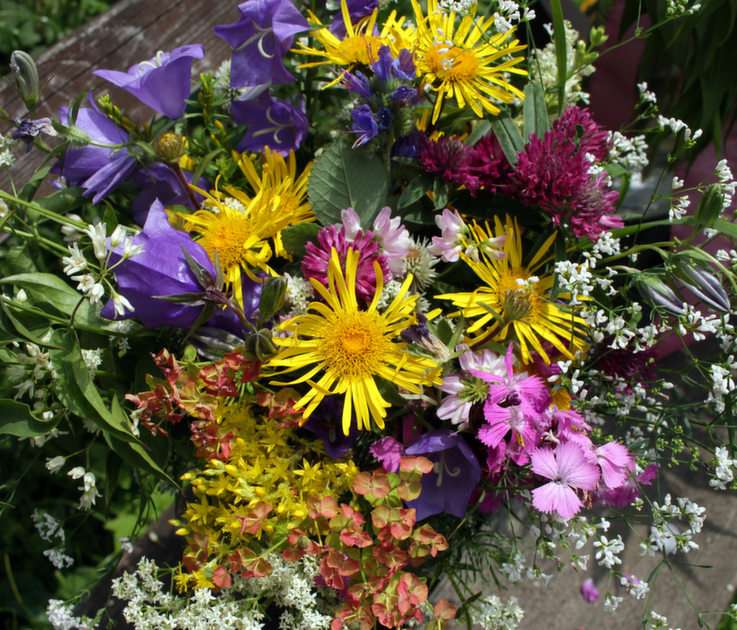 kwiaty puzzle online ze zdjęcia