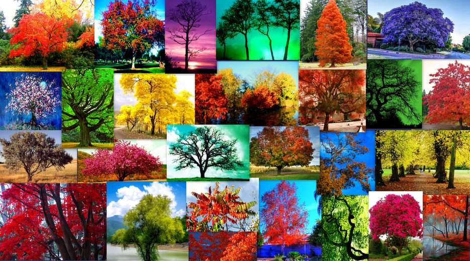 Kolorowe drzewa puzzle ze zdjęcia