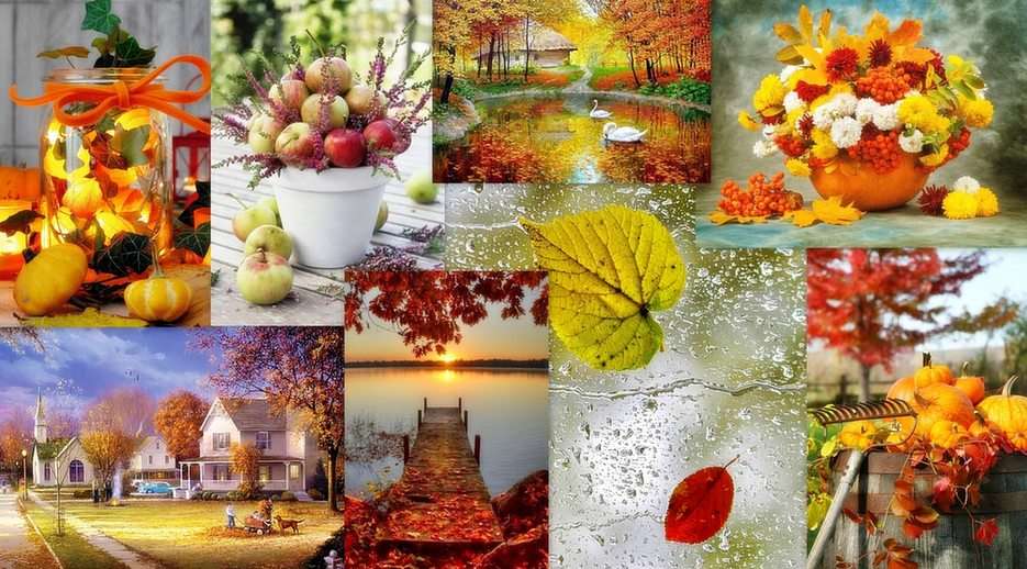 Jesień puzzle online ze zdjęcia