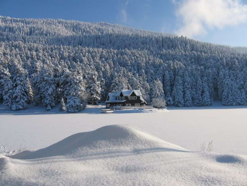 zimowy pejzaż puzzle online ze zdjęcia