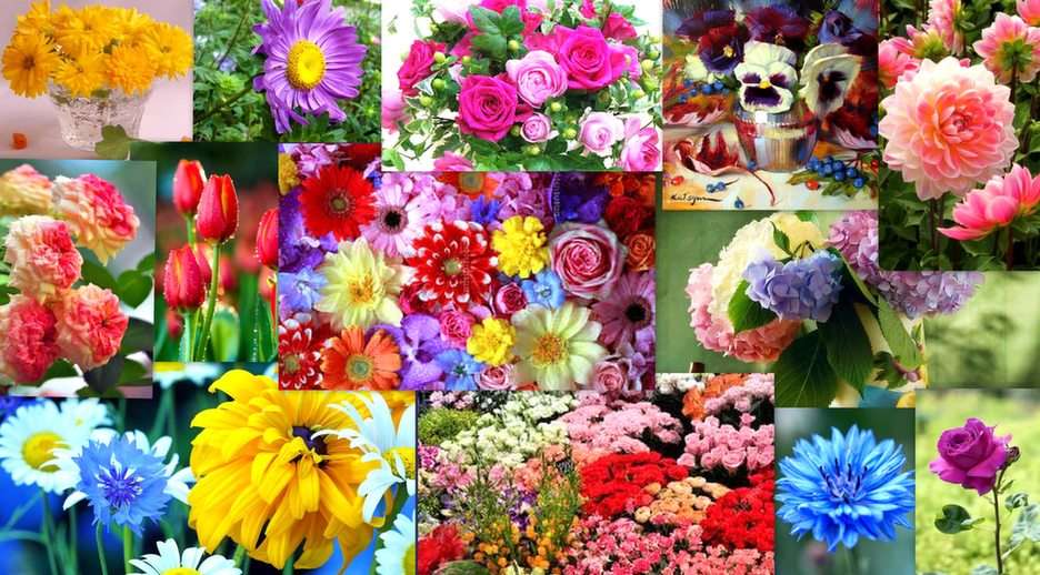 Collage kwiatowy puzzle ze zdjęcia