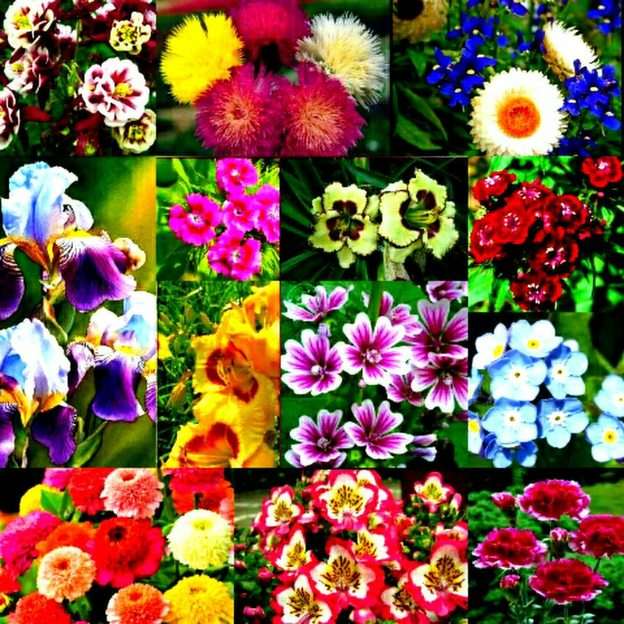 Kwiatki puzzle online