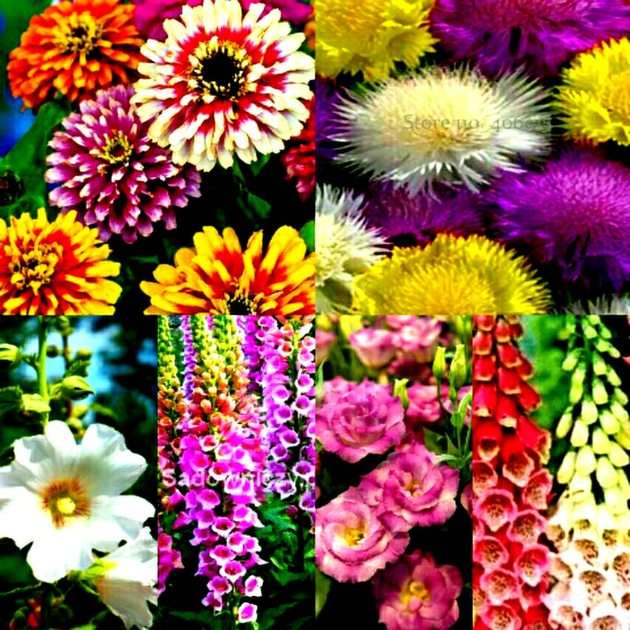 Kwiatki puzzle online
