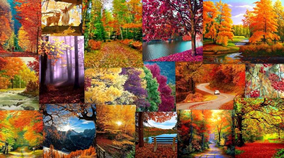 Jesień puzzle ze zdjęcia