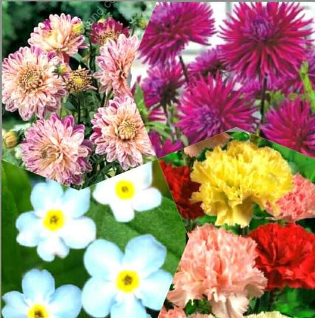 Kwiatki puzzle online ze zdjęcia