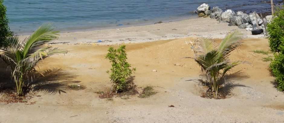 Plaża nad Zatoką Omańską puzzle online ze zdjęcia