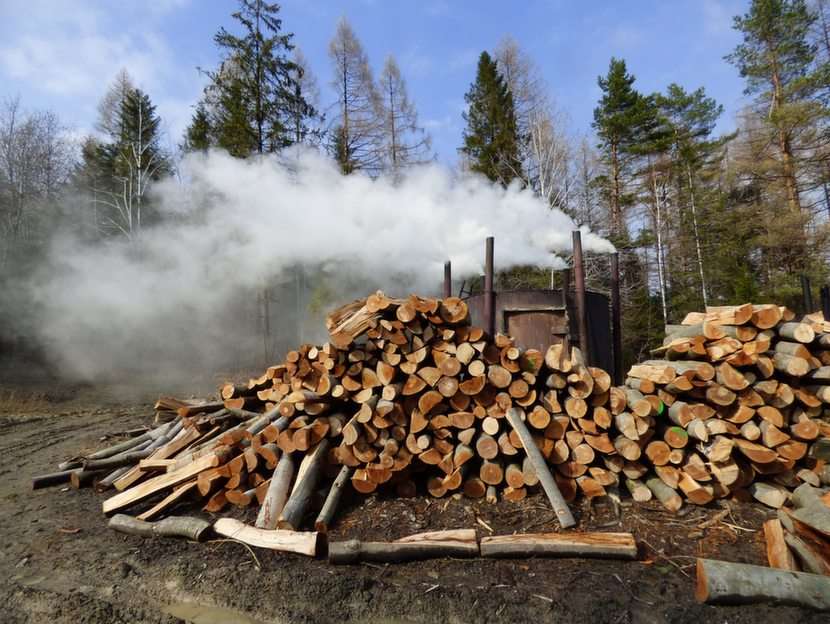 Wypalanie drewna w Bieszczadach puzzle online