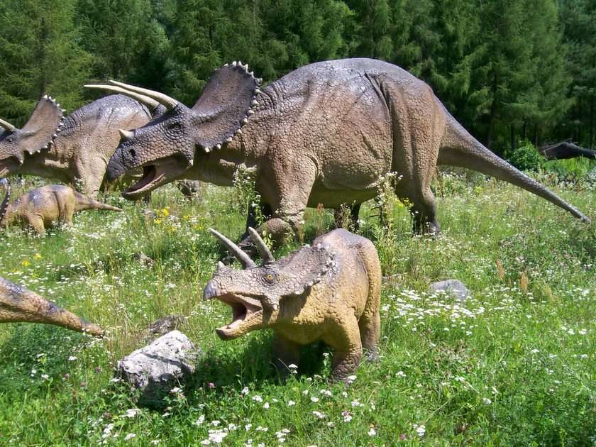 Triceratops puzzle online ze zdjęcia