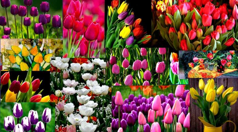 tulipany puzzle online