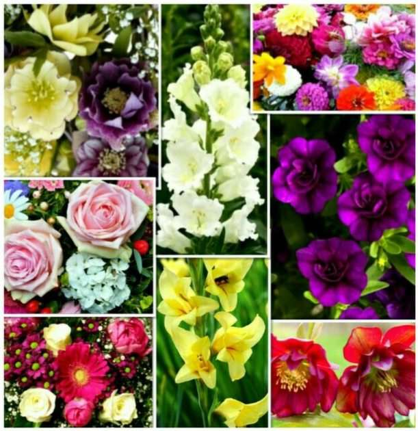 kwiatki puzzle ze zdjęcia