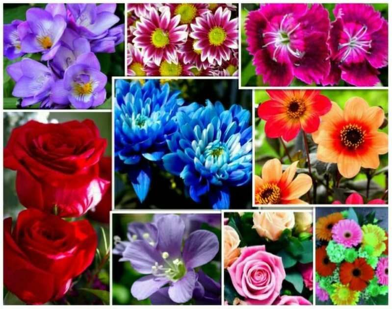 kwiaty puzzle ze zdjęcia