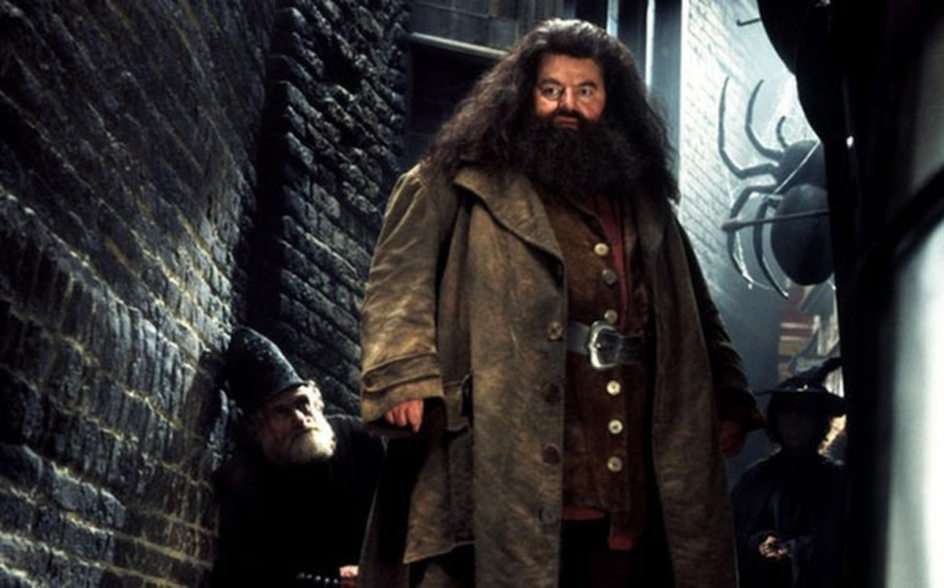 Rubeus Hagrid puzzle ze zdjęcia