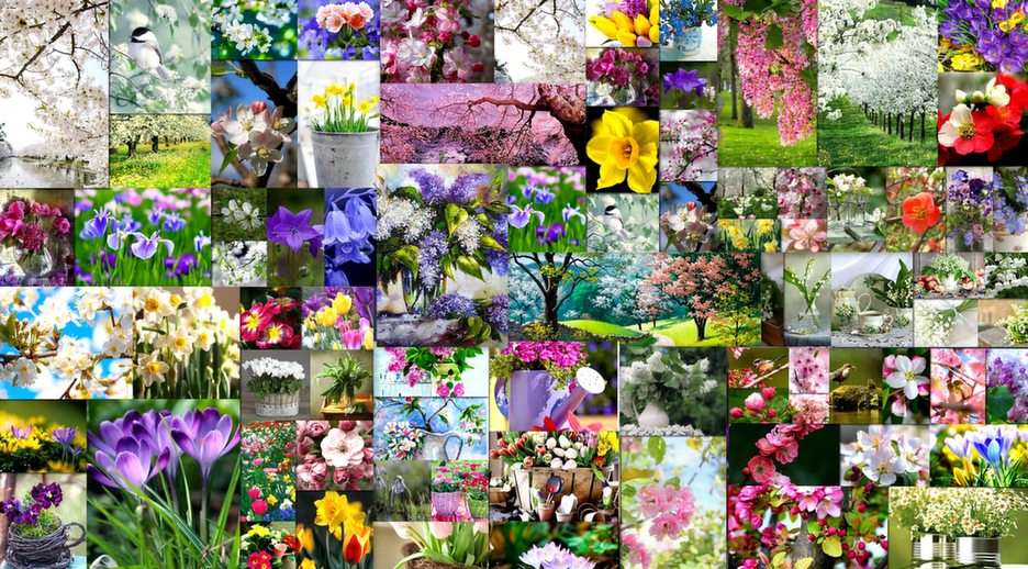 wiosna puzzle ze zdjęcia
