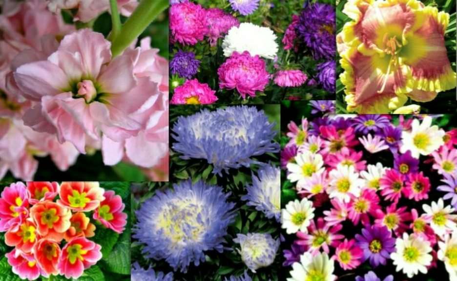 kwiatki puzzle online