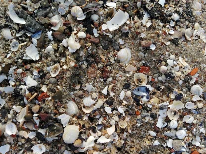 Nadmorski piasek puzzle online ze zdjęcia