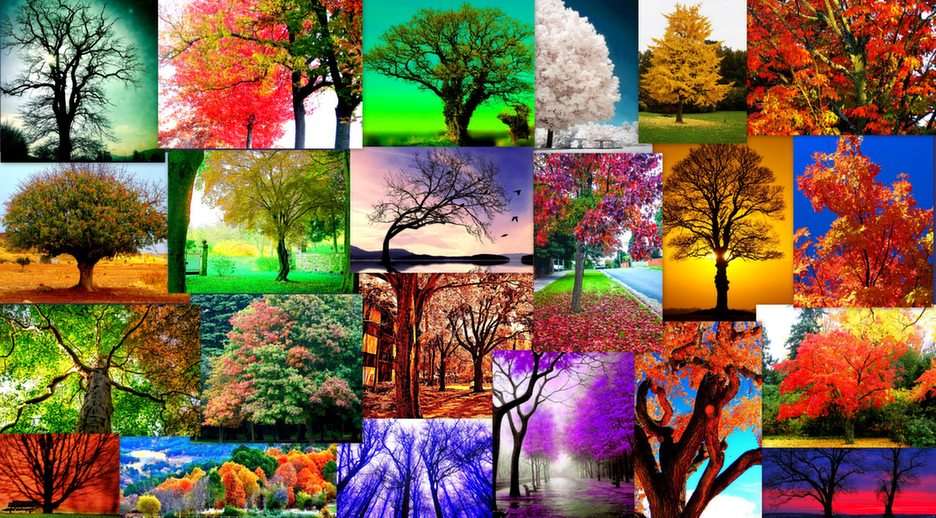 kolorowe drzewa puzzle online