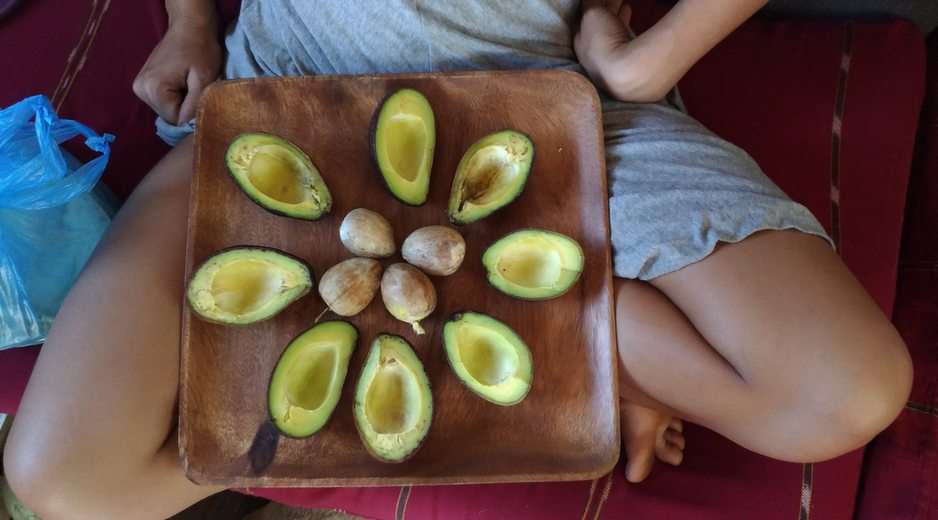 Kostaryka - owoce... lasku puzzle online ze zdjęcia