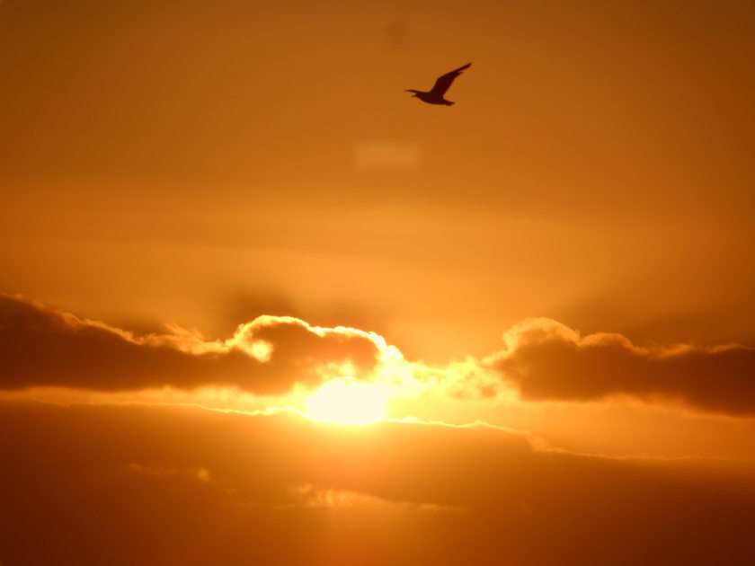Zachód słońca na zachodnim wybrzeżu puzzle online ze zdjęcia