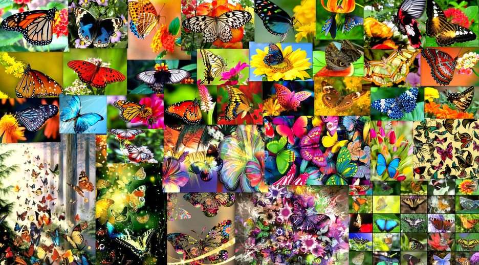 bajeczne motyle puzzle online ze zdjęcia