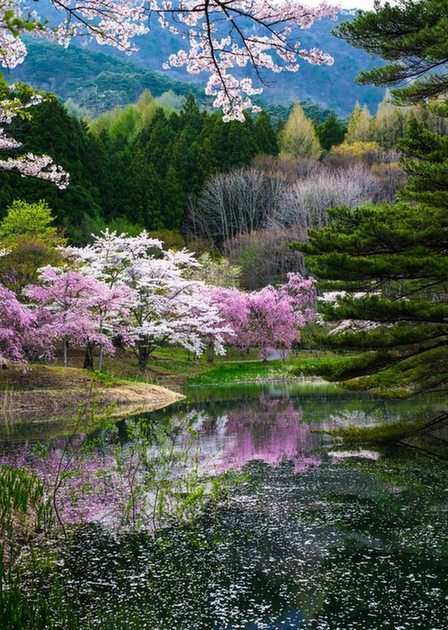 Wiosna w Japonii | Kazuhiro yashima puzzle online ze zdjęcia