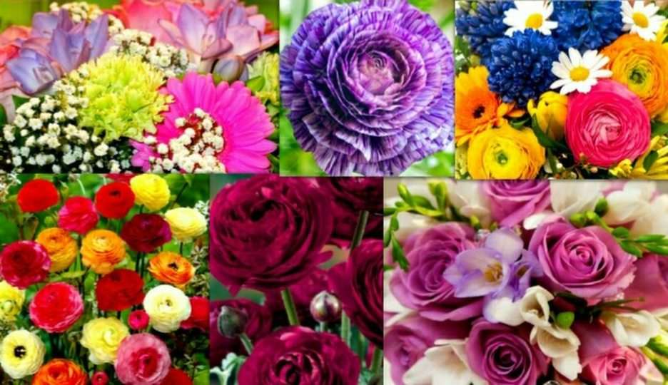 kwiatki puzzle online ze zdjęcia