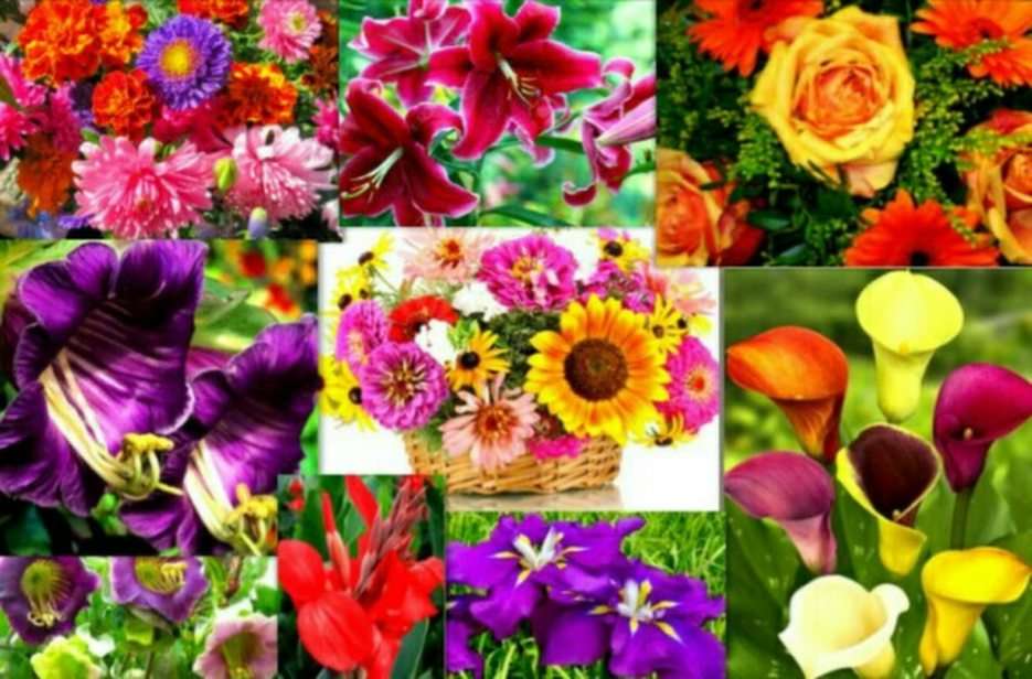 kwiaty puzzle online