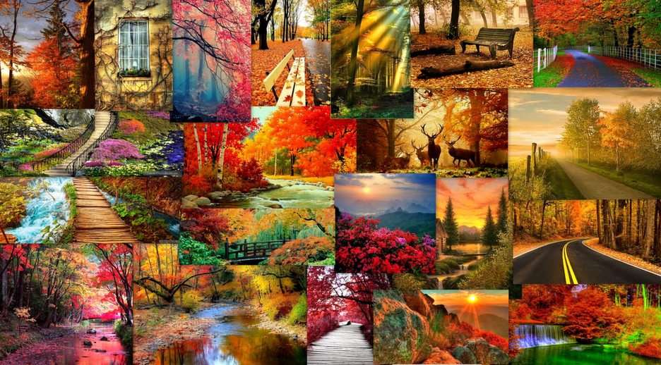 jesień puzzle online ze zdjęcia