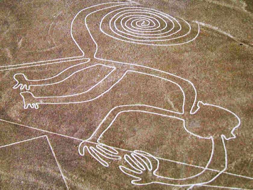 Nazca Lines Monkey puzzle online ze zdjęcia