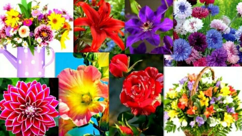 kwiaty puzzle ze zdjęcia