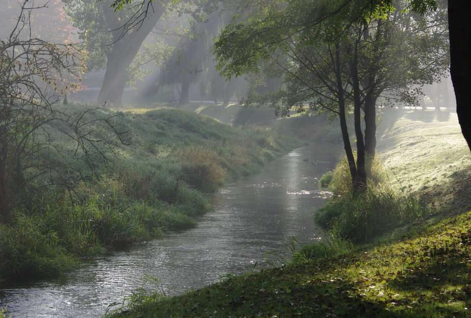 Rzeka Czarna Hańcza puzzle ze zdjęcia