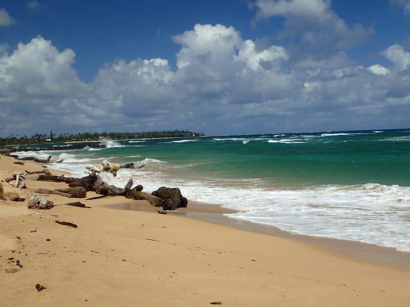Plaża na Kauai puzzle ze zdjęcia