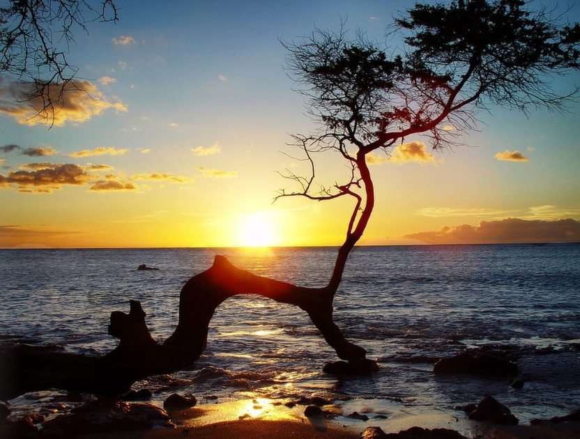Krajobraz o zachodzie słońca na Hawajach puzzle ze zdjęcia