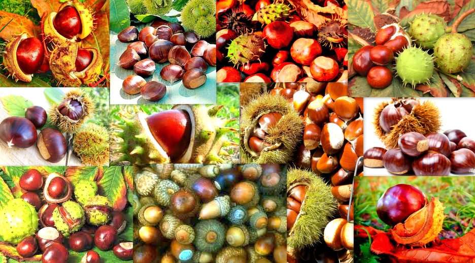 owoce jesieni puzzle online