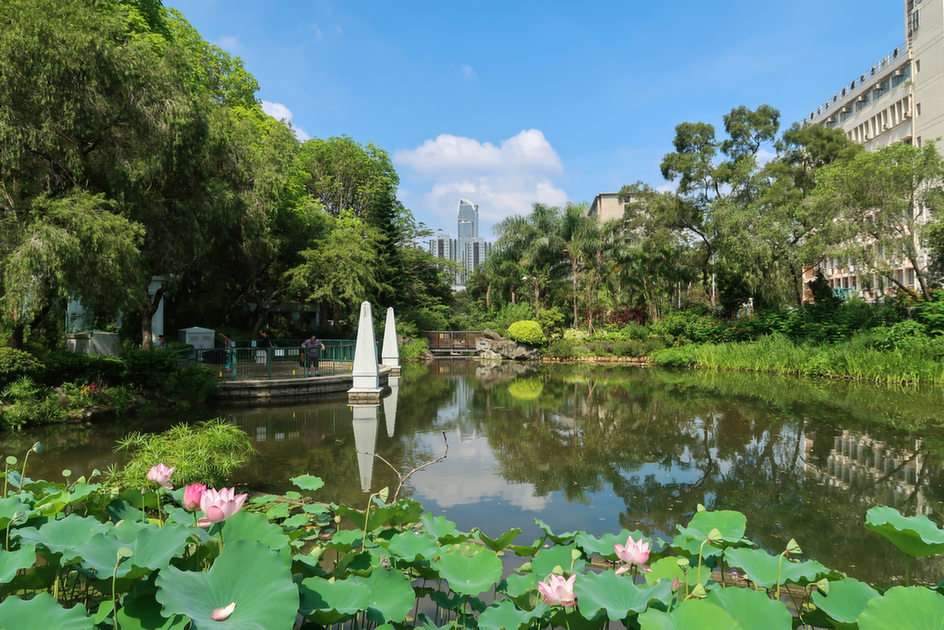 Shing Mun Valley Park puzzle online