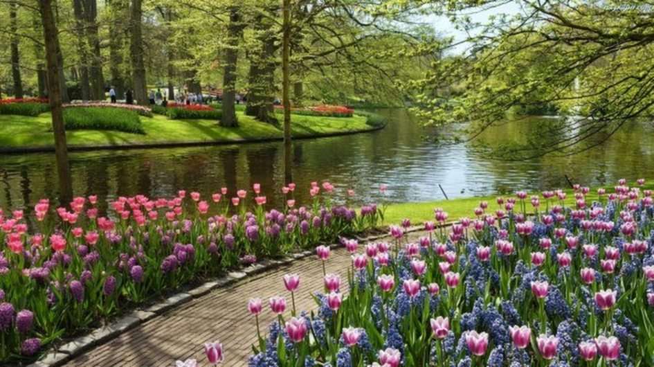 Wiosna w parku puzzle online ze zdjęcia