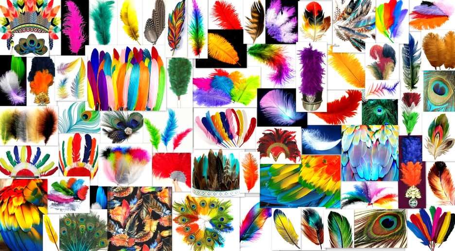 kolorowe pióra puzzle online ze zdjęcia