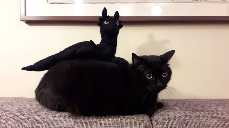 Czy to dwa koty? puzzle online ze zdjęcia