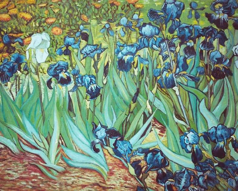 Irysy - Vincent Van Gogh puzzle online