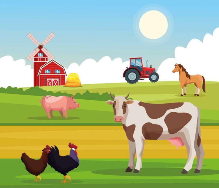 Farm Animals puzzle online ze zdjęcia