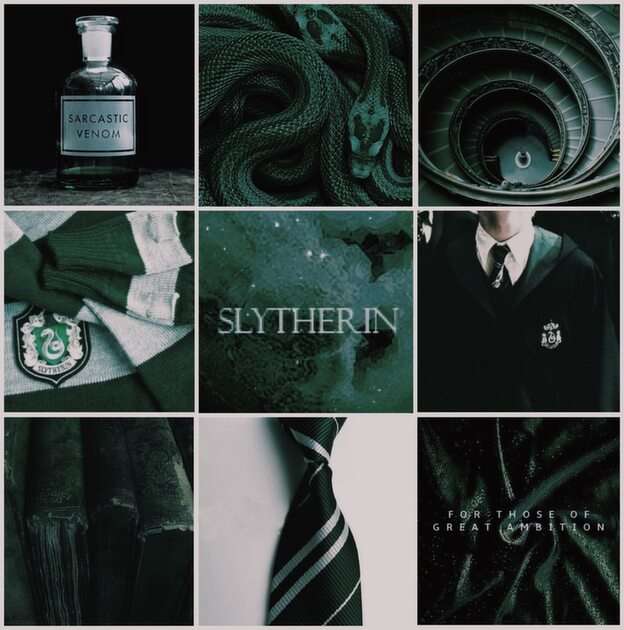 PIZZLE ZABAWY SLYTHERIN puzzle