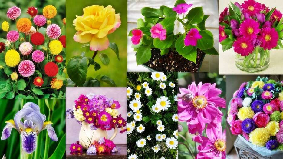 Kwiaty puzzle ze zdjęcia