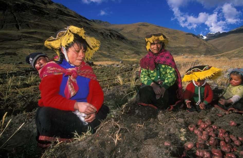 Mujeres en la Agricultura puzzle online ze zdjęcia